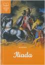 Iliada bez opracowania