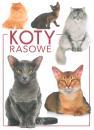 Koty rasowe (448)