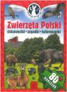 Zwierzta Polski Poznaj przyrod