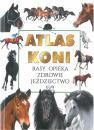 Atlas koni rasy opieka zdrowie jeździectwo