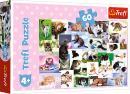 Puzzle 60 Koci wiat