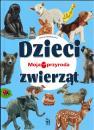 Moja przyroda Dzieci zwierząt